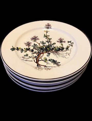 Villeroy & Boch - Bord (6) - Botanica - Porselein