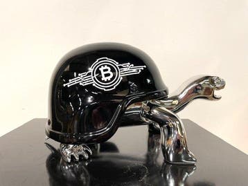 Van Apple - Bitcoin Peace Turtle