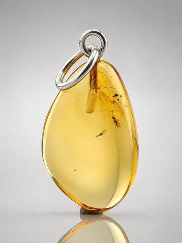 Premium Baltisch Amberhanger – Gouden Heldere Parasitaire