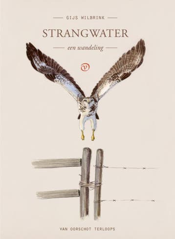 Strangwater / Terloops 9789028242722 Gijs Wilbrink, Verzenden, Gelezen, Gijs Wilbrink