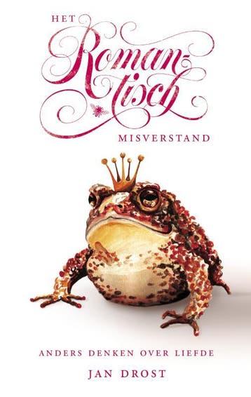 Het romantisch misverstand 9789023458340 Jan Drost, Verzenden, Gelezen, Jan Drost