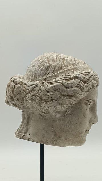 Sculpture, Testa greco romana - 31 cm - poudre de marbre