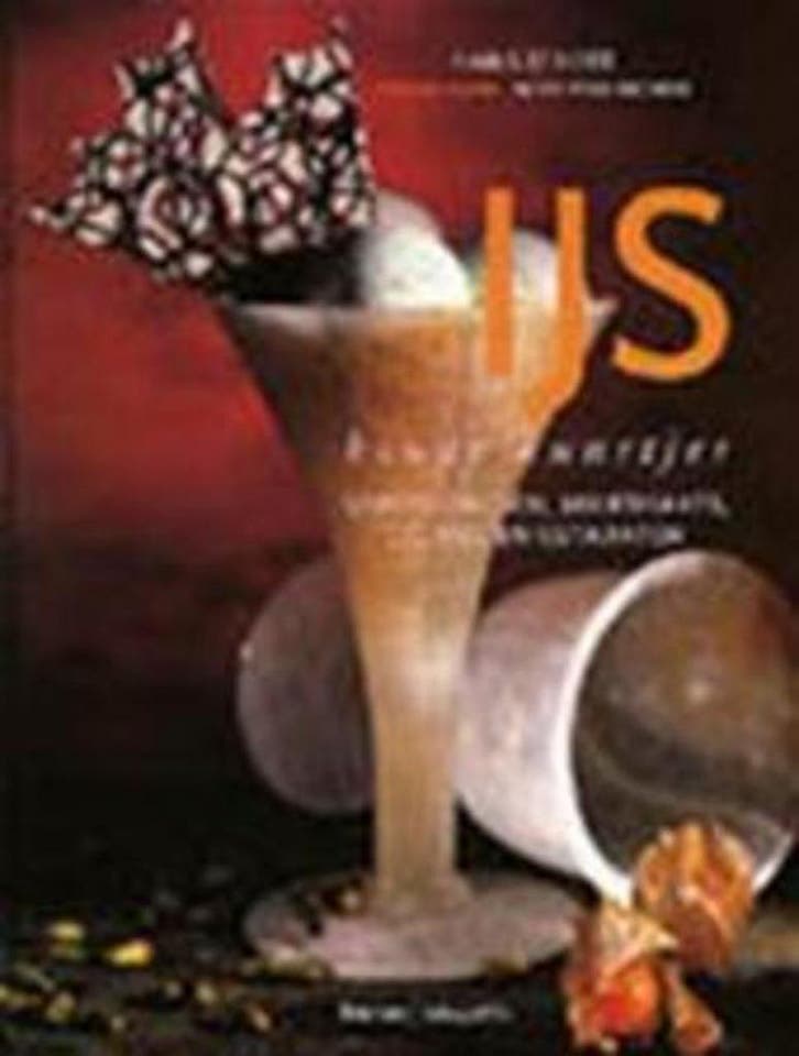 IJS KOUDE KUNSTJES 9789020937206 H. Dheer, Boeken, Kookboeken, Zo goed als nieuw, Verzenden