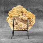 Prachtige plak versteend hout op een op maat gemaakte