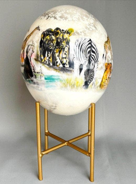 Autruche Œuf - Ovum Struthio camelus - 15.5 cm - 13.5 cm -, Antiquités & Art, Curiosités & Brocante