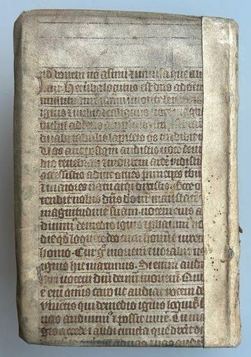 Horatio Nucula - Commentariorum de bello Aphrodisiensi libri