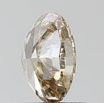 1 pcs Diamant (Couleur naturelle) - 0.66 ct - Oval - Fancy, Nieuw