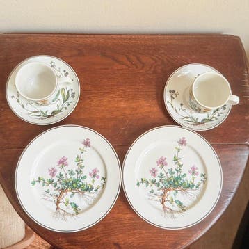 Villeroy & Boch - Koffieservies (6) - Botanica - Porselein -