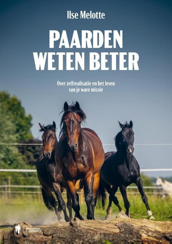 Paarden Weten Beter | Ilse Melotte | Nieuw, Boeken, Overige Boeken, Nieuw, Verzenden