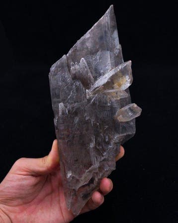 GIGANTESQUE gypse var. sélénite ÉCHANTILLON DE LOCALITÉ