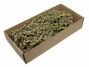 Canella Green wash doosje 20 stuks
