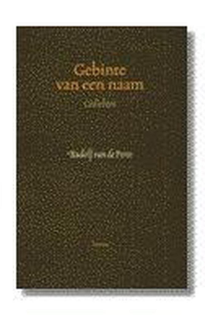 Gebinte van een naam 9789020924336 R. van de Perre, Boeken, Gedichten en Poëzie, Zo goed als nieuw, Verzenden