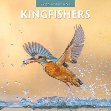 Red Robin Wall Kalender 2027 - Kingfishers, Ophalen of Verzenden