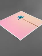 Téber - Mint Palm at Sunset · No Reserve