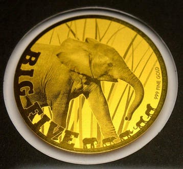 Tsjaad. 5000 Francs 2020 Big Five - Elephant Baby - 1/200oz