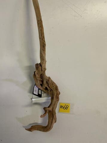 Boutique Stump Selected BS68 - 73x15x17cm (Natuurlijk hout), Ophalen of Verzenden, Nieuw, Plant(en), Steen of Hout