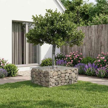 vidaXL Gabion verhoogd bed 100 x 100 x 40 cm Gegevens staal, Verzenden, Nieuw