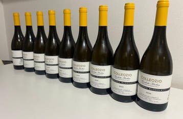 2024 Colleozio Leonardo Bussoletti - Umbrië - 9 Flessen, Nieuw