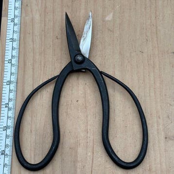 Japanese Bonsai & Ikebana Shears Set CA442 Wabi Sabi Japan -