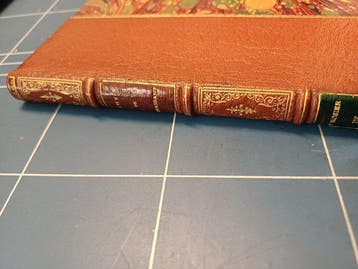 Guy de Maupassant - Le rosier de Madame Husson - 1888
