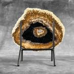 Belle tranche de racine de palmier pétrifiée sur un socle