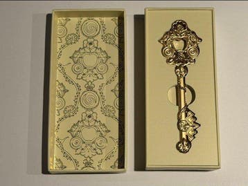 Sleutel - Disneyland Hotel Key