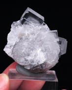 EMILIO ICE CUBE FLUORITE over baryt - Hoogte: 4.1 cm -
