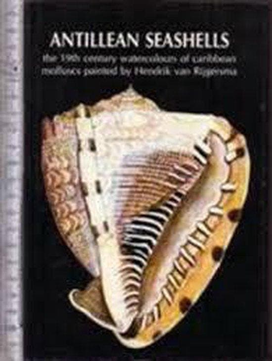 Antillean seashells 9789060116166 Coomans, Boeken, Wetenschap, Gelezen, Verzenden