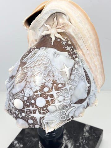 CASSIS MADAGASCARIENSIS - Cameo - ornamentale beeldhouwkunst
