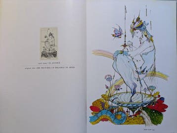 Yoshitaka Amano - Yoshitaka Amano – The Illustrations for