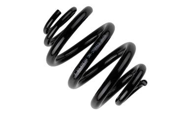 Bilstein B3 Replacement Springs Chassisveer | Volkswagen |, Verzenden, Nieuw