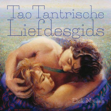 Tao tantrische liefdesgids 9789077908143 Dick Nijssen, Verzenden, Gelezen, Dick Nijssen