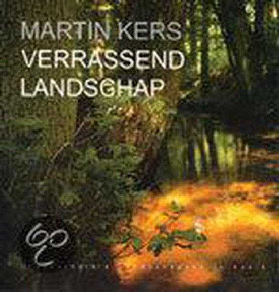 Verrassend Landschap - Buissink, Livres, Langue | Français, Envoi
