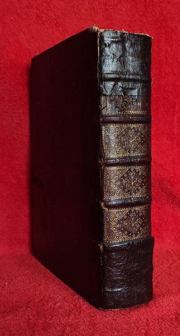 Biblia [Folio 28cm, 3kg] - Biblia Sacra Vulgatæ Editionis