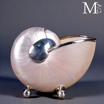 iriserende parelmoeren nautilusschelp met fijne verzilverde