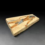 Replica van het oude Egypte Relief dat een nobele