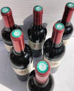 2021 Comte de Saint Vincent - Bordeaux, Saint-Émilion Grand, Verzamelen, Wijnen, Nieuw