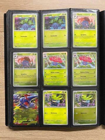 Pokémon Complete set - Mega Evolution