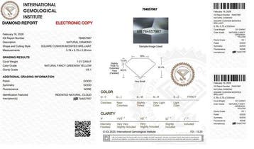 1 pcs Diamant (Natuurlijk gekleurd) - 1.01 ct - Cushion -, Nieuw