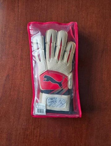 Championnat dItalie de Football - 2010 - Gants de gardien
