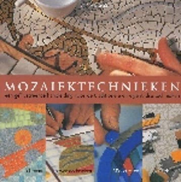 Mozaiektechnieken 9789057642432 E. Biggs, Verzenden, Gelezen, E. Biggs