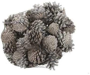 Dennenappel Oostenrijkers White Tip 1 kilo