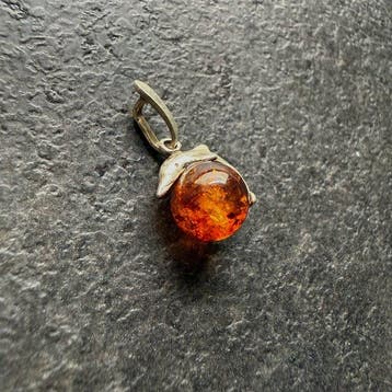 Pendentif dauphin en argent avec une perle dambre balte, Collections