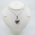 Zonder minimumprijs - Ketting met hanger Zilver