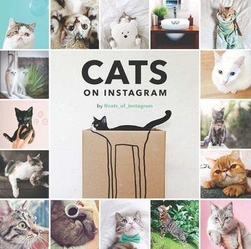 Cats on Instagram 9781452151960 @Cats_Of_Instagram, Boeken, Verzenden, Gelezen, @Cats_Of_Instagram