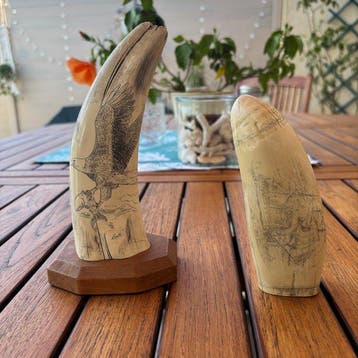 Scrimshaw Tand - Scrimshaw réplique - 20 cm - 10 cm - 8 cm -, Verzamelen, Nieuw