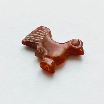 Sino-Mongools of Sino-Siberisch Rood agaat XS Haan Kraal