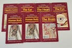 Schick Anatomy Charts: Verzameling van 7 Anatomische Kaarten, Boeken, Verzenden, Nieuw