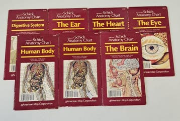 Schick Anatomy Charts: Verzameling van 7 Anatomische Kaarten, Boeken, Verzenden, Nieuw