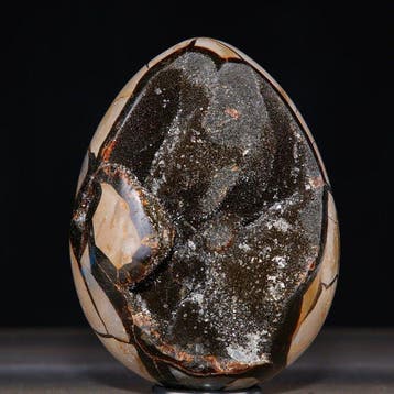Madagaskar septaria-ei-geode - Diepe holte van sprankelende